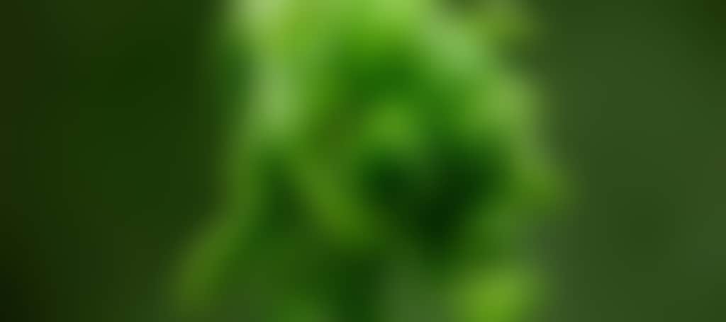 Ddac93Ad29Dea5E07D9D95D852B714D4