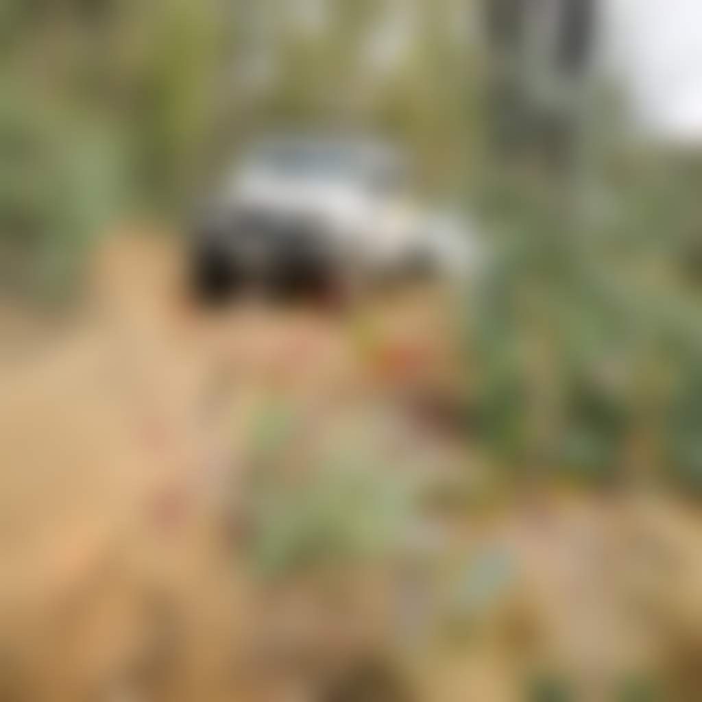 4 WD Dirt Tracks Murrungowar