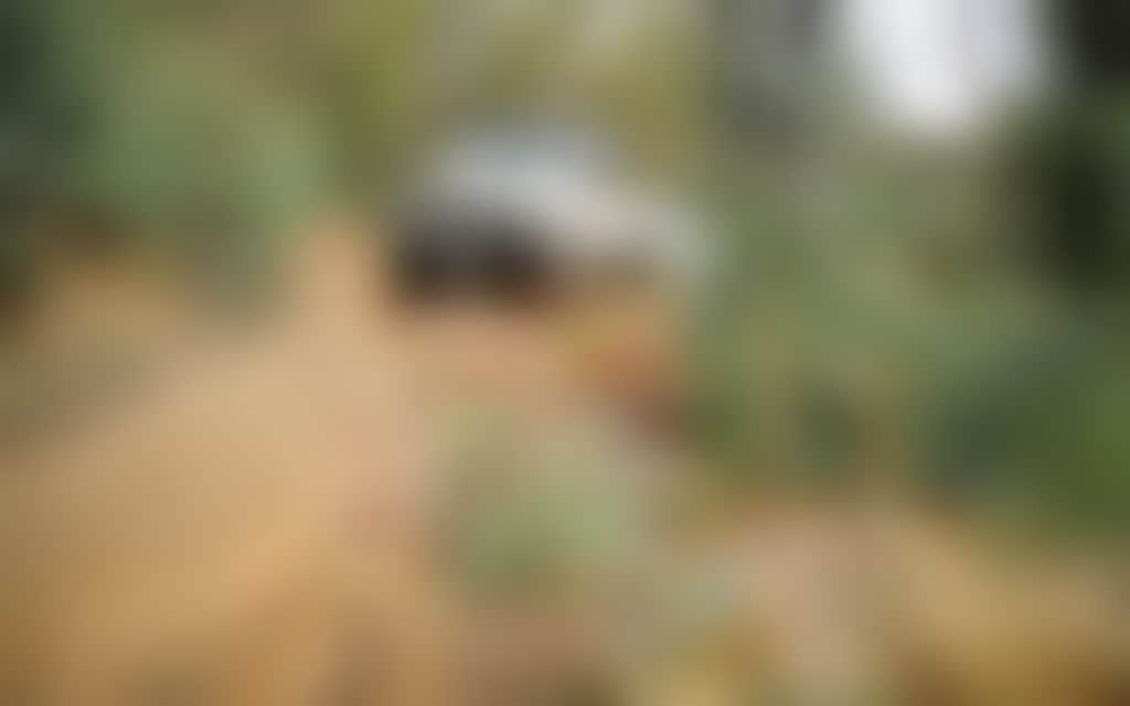 4 WD Dirt Tracks Murrungowar