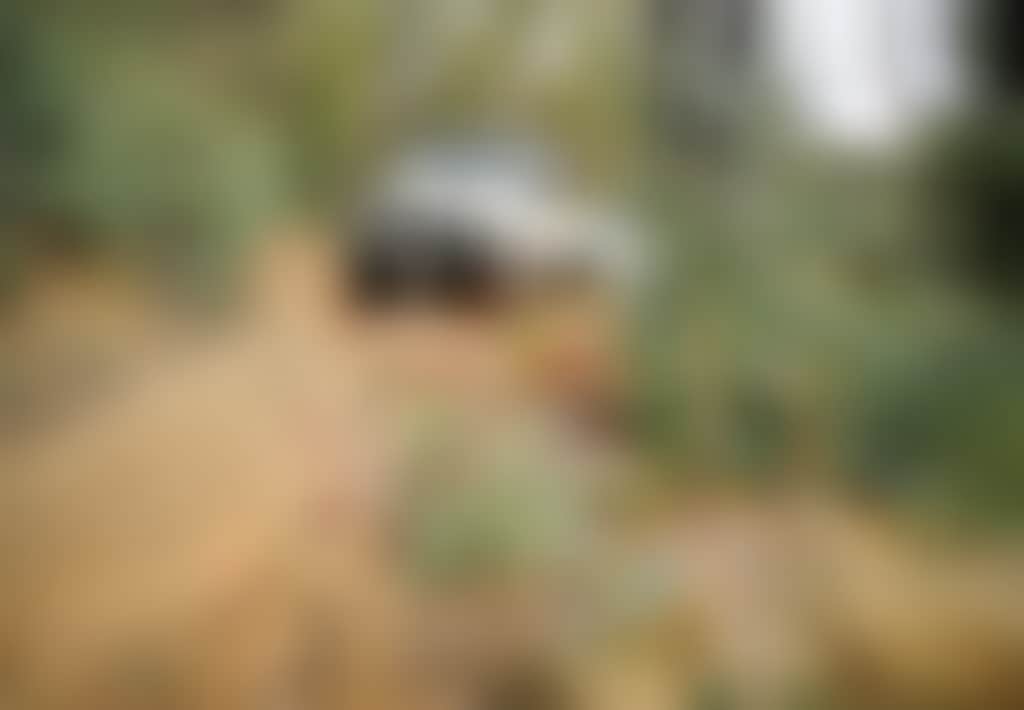 4 WD Dirt Tracks Murrungowar
