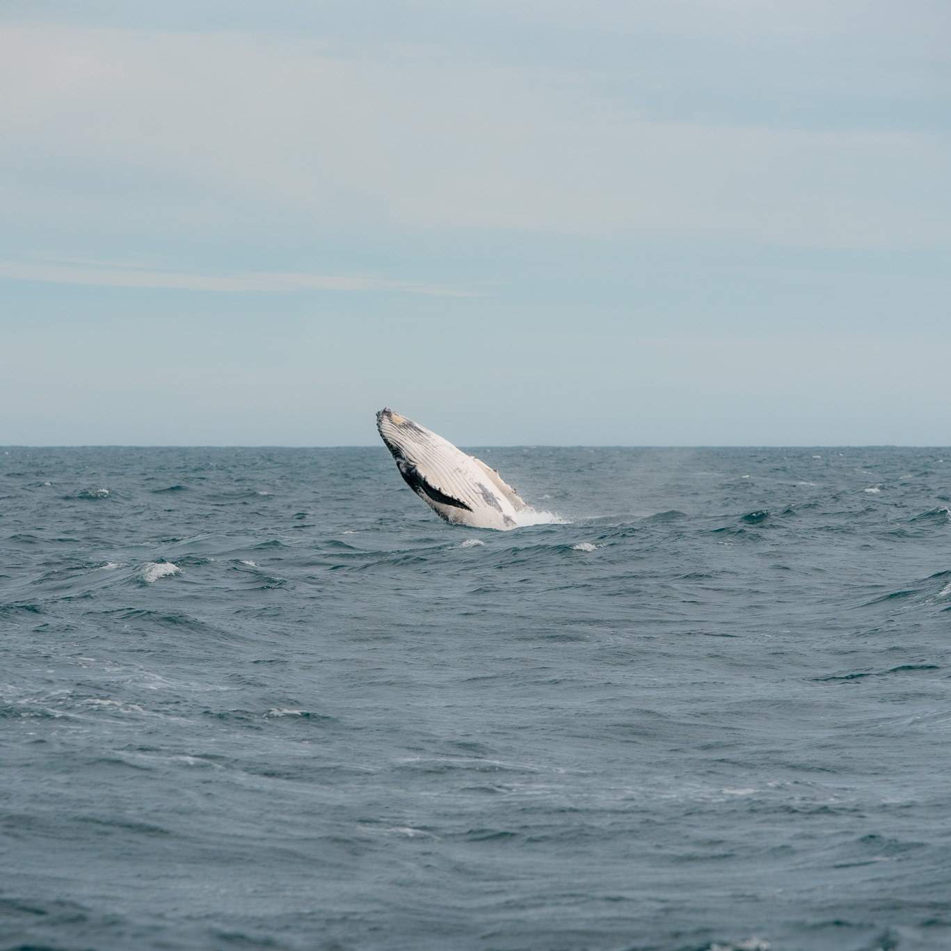 visitgippsland