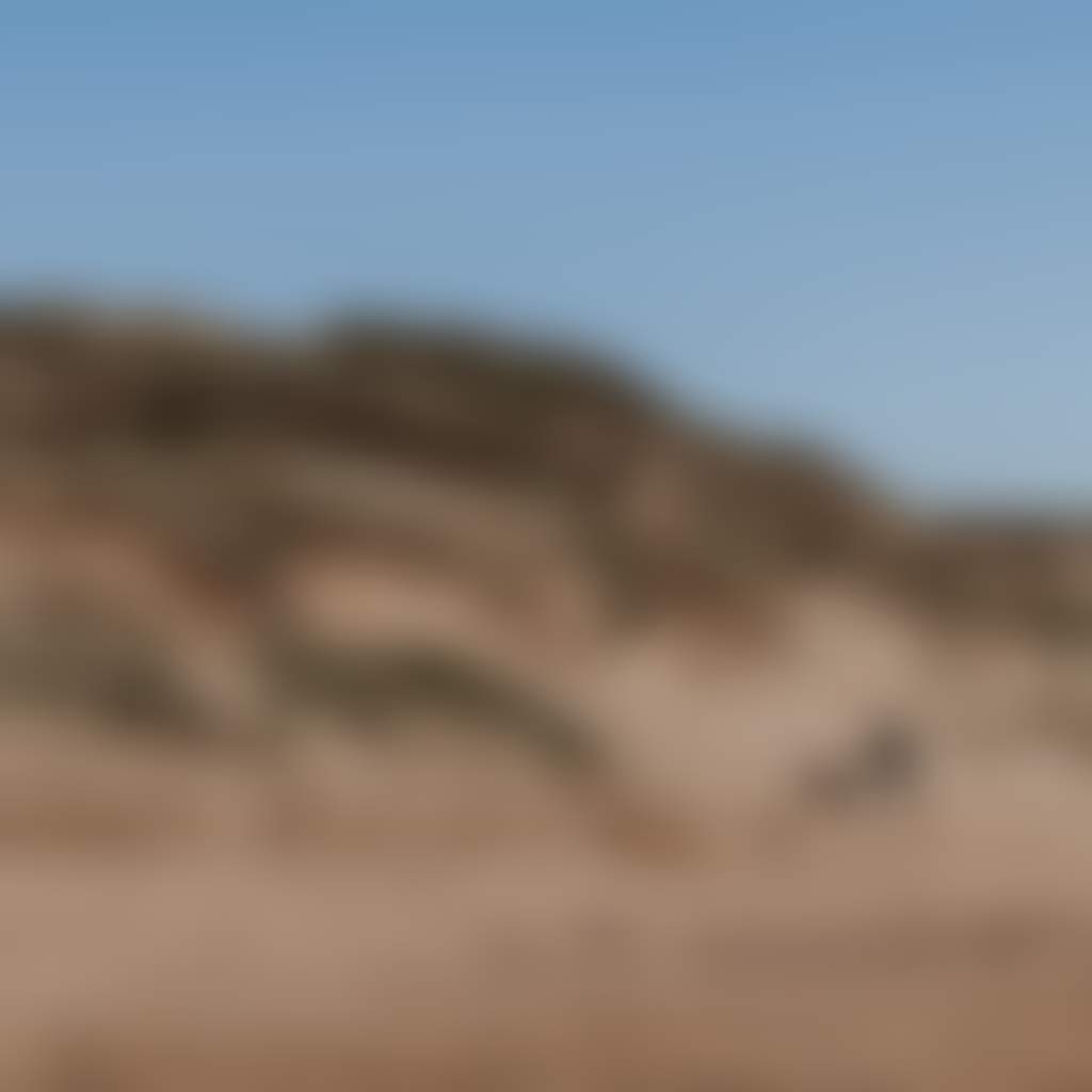 Playing at the foot of the sand dunes at Venus Bay