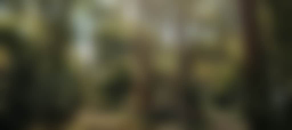 0C6Df45E9878528Fe995C2A3E181F5B5
