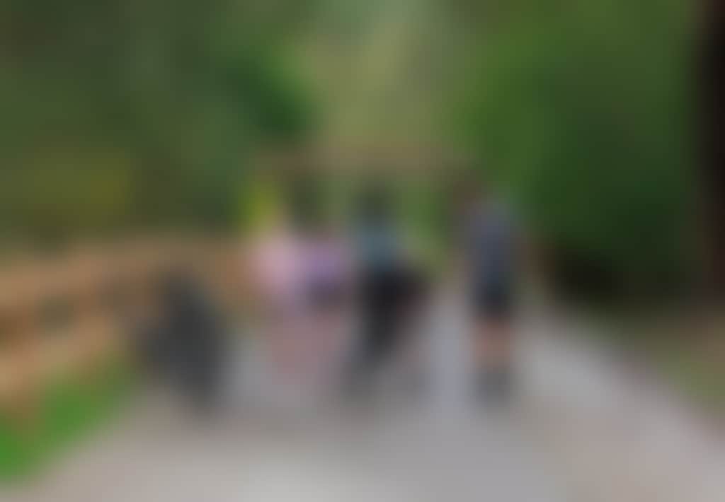 Rokeby Neerim Rail Trail family walking under trail head with dog 1
