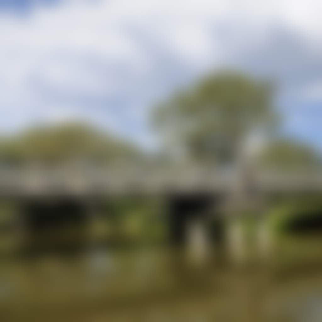 Sale swing bridge riverview