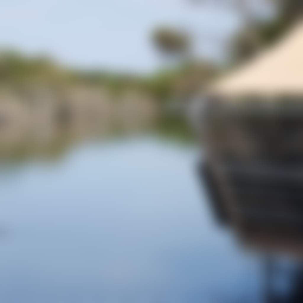 Duck on a lake at Metung Hot Springs