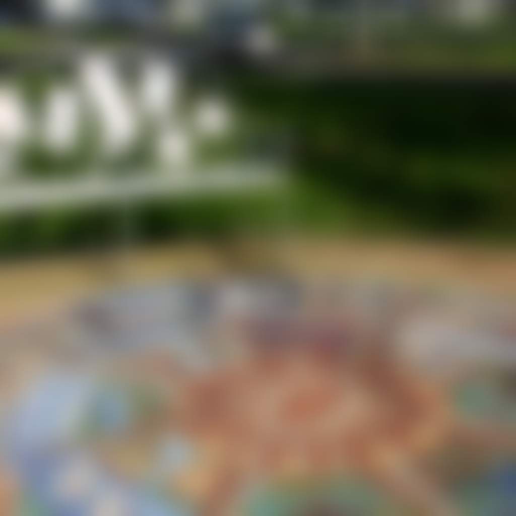 Compass Rose mosaic seat Warragul and mosaic on ground