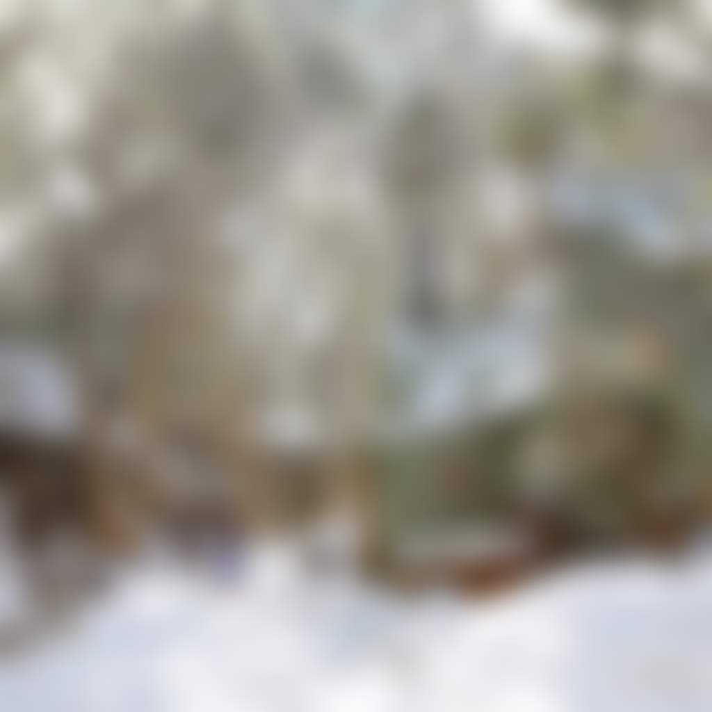 Dinner Plain accommodation couple walking in snow among buildings