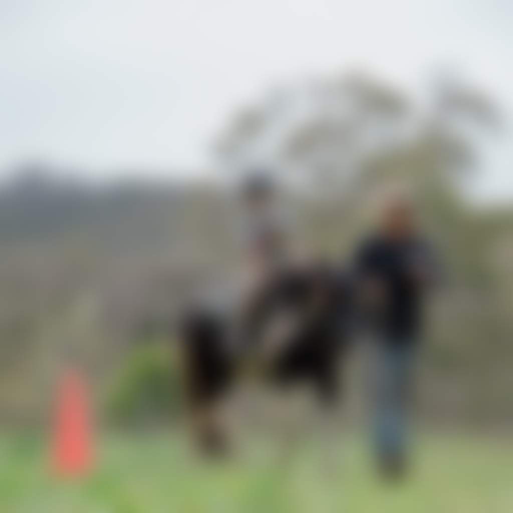 Child on horse with lead at Karoonda Park near Buchan
