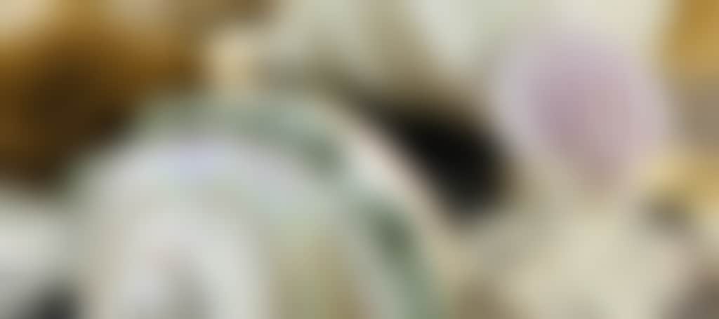 7E64Ad55C231566A924E10E3C28Eda24