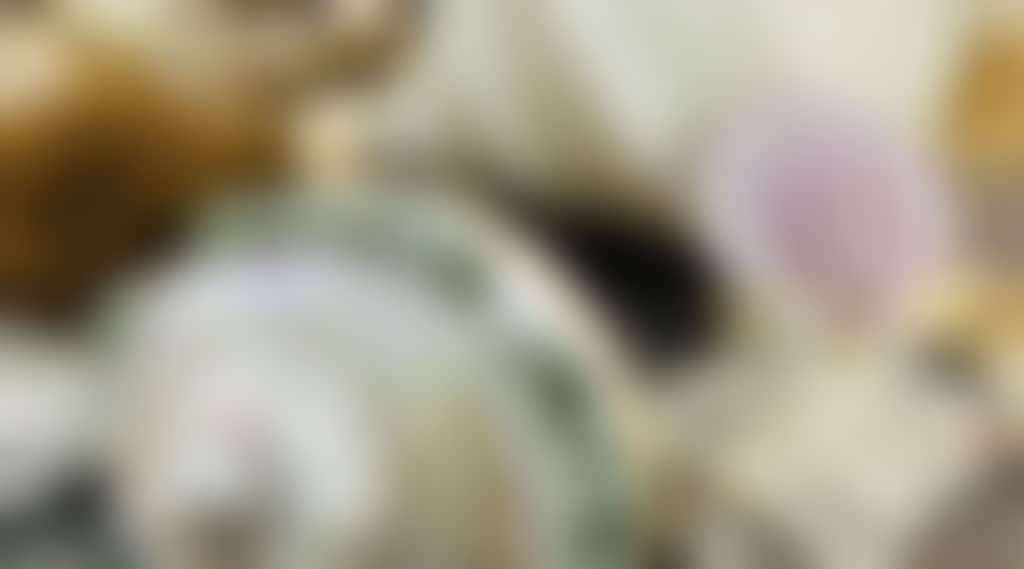 7E64Ad55C231566A924E10E3C28Eda24