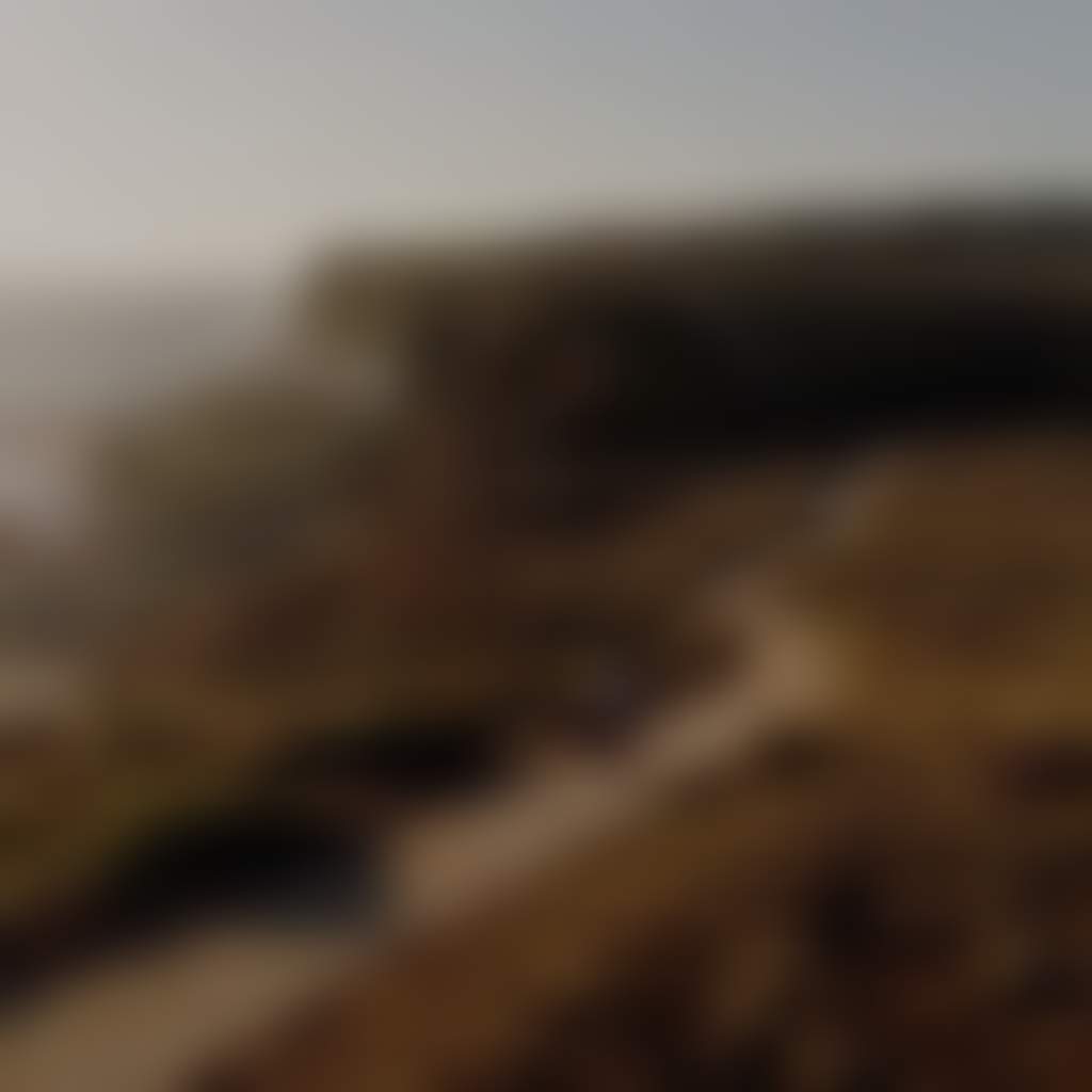 Bass Coast Rail Trail aerial view of rider along coastal track in soft light