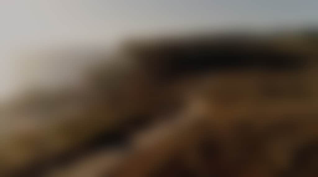Bass Coast Rail Trail aerial view of rider along coastal track in soft light