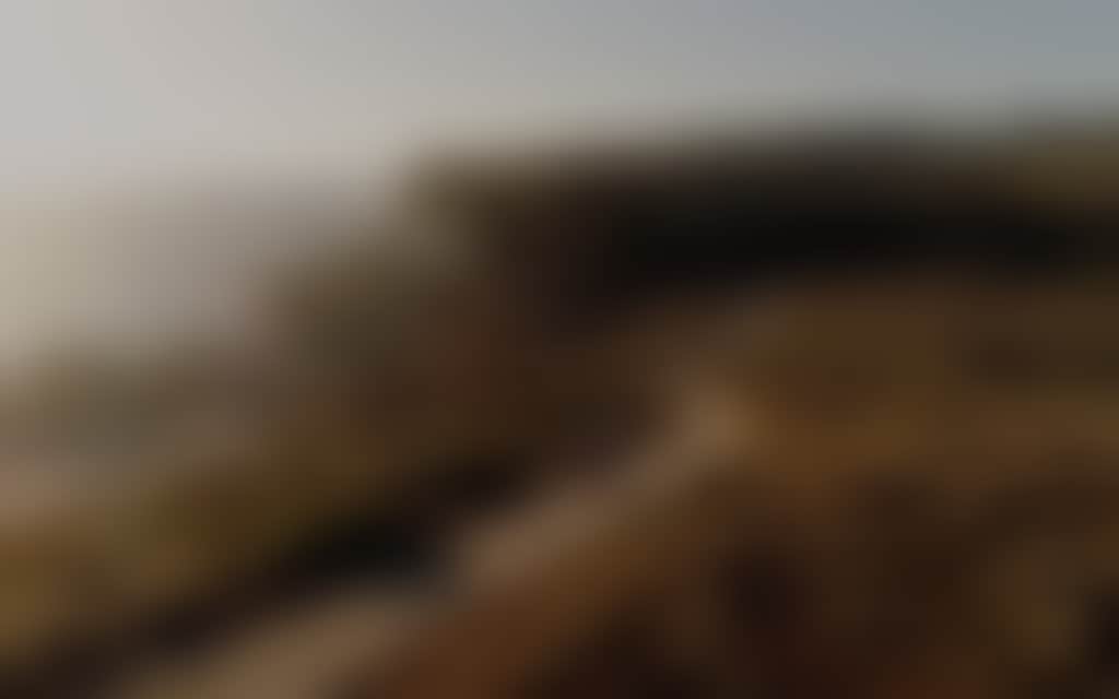 Bass Coast Rail Trail aerial view of rider along coastal track in soft light