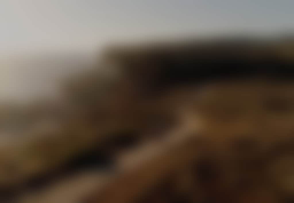 Bass Coast Rail Trail aerial view of rider along coastal track in soft light