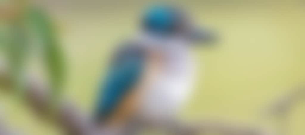 F1Aaf9Acd737900E81409274F55218E4