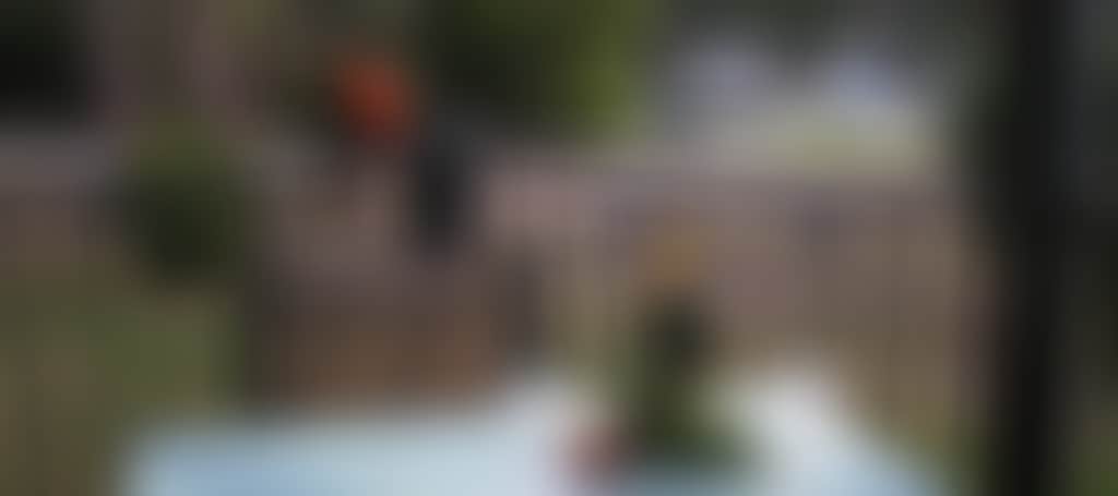 Original__9023178_Ax13_P3270179_03Asvyo