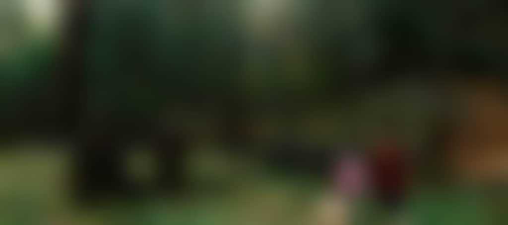 6C0A07922129E03Ebf4F7Cb5Ae8D725C