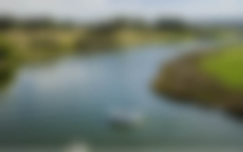 Nicholson River from Trestle Bridge
