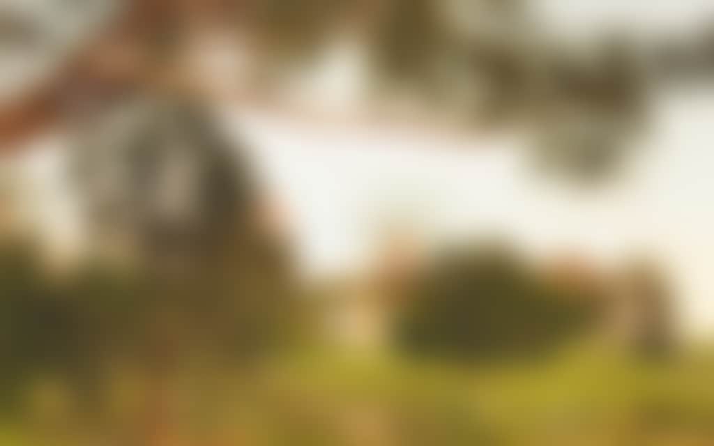 F509A35Ddbf4Fa2Ab9Fd2A5Ceaf2F0F8