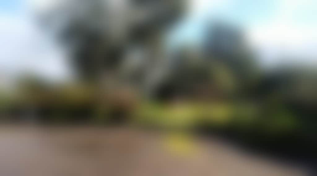 92Ab58C0258858Fd985A9Ca487Ab4Ca3