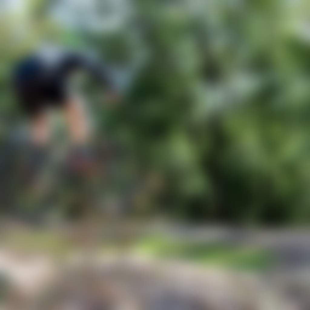 Nowa Nowa MTB Park rider gets air on mountain bike jump