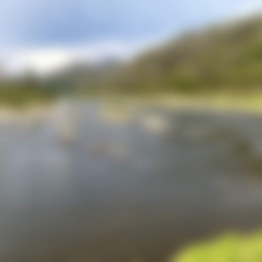 Balley Hooley The Junction between Buchan River and Snowy River