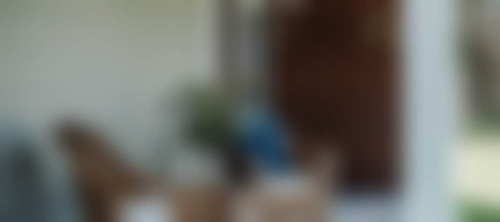 C0F28Bdcc92036De0056Bc4A710Fa6E6