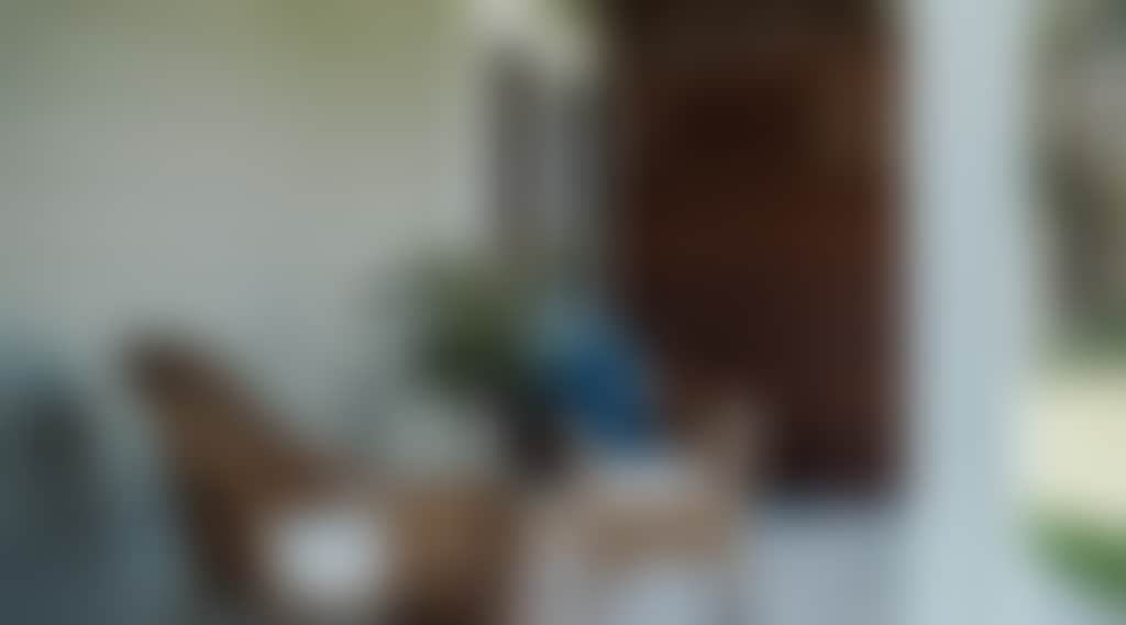 C0F28Bdcc92036De0056Bc4A710Fa6E6