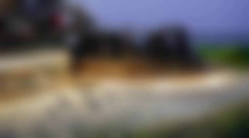 132935 Penguin Parade Viewing Platform Crop