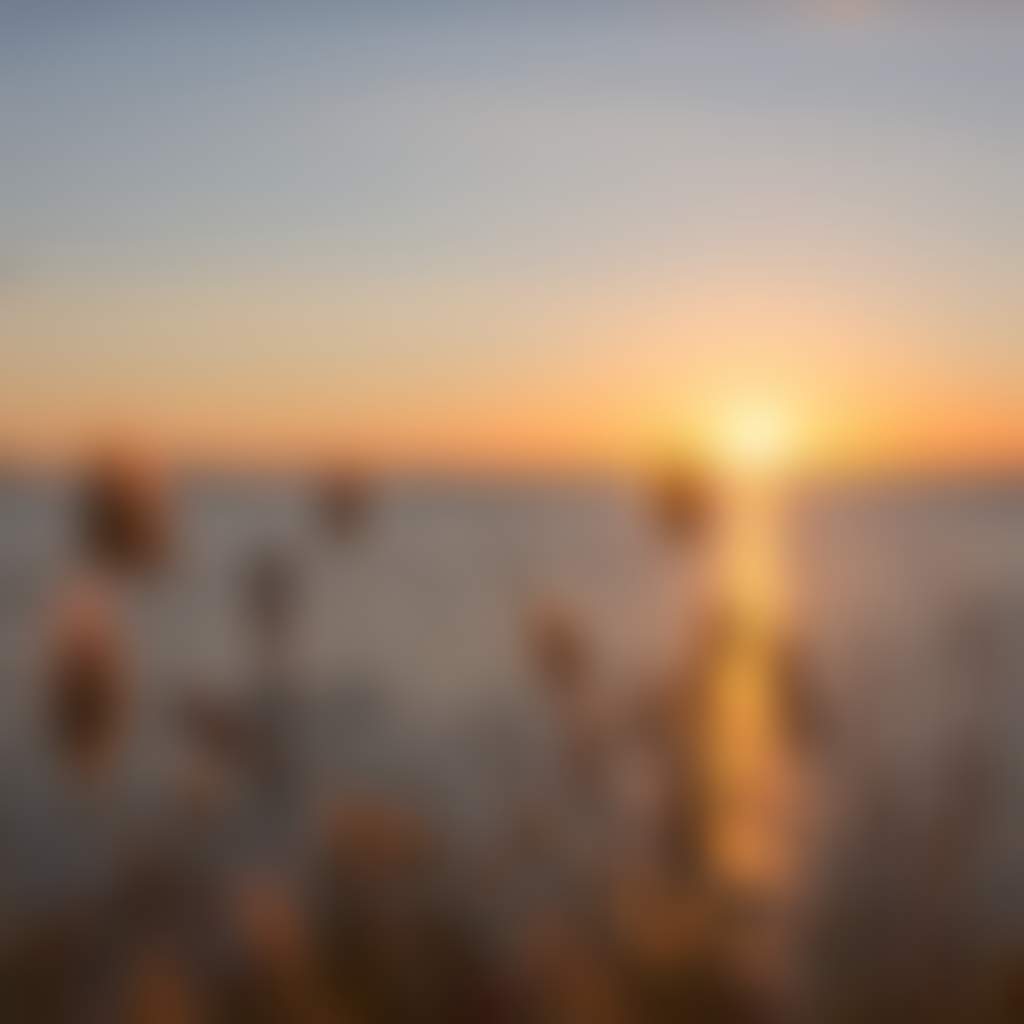 Man SU Ping Past Grassy Plants at Sunset in Mallacoota
