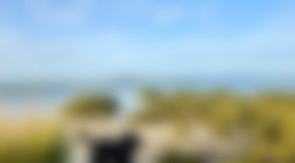 508C8Fb404B00B8Ece8C591C437B79Bb