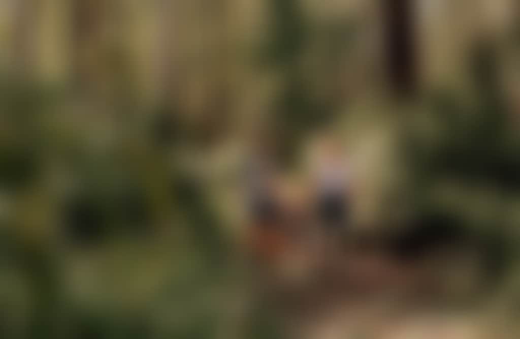 Morwell River Falls family on walk surrounded by bush crop