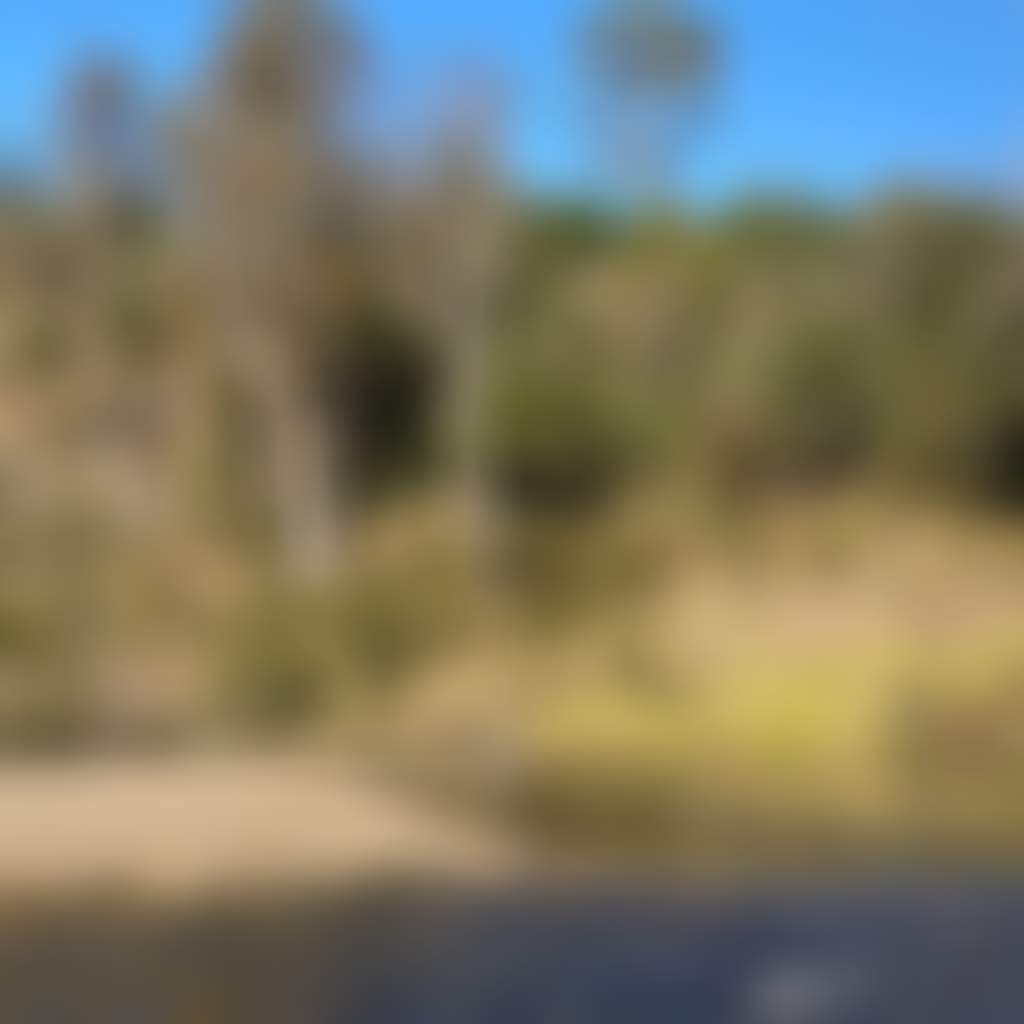 Ramrod Swimming Hole Bruthen Tambo River family picnic
