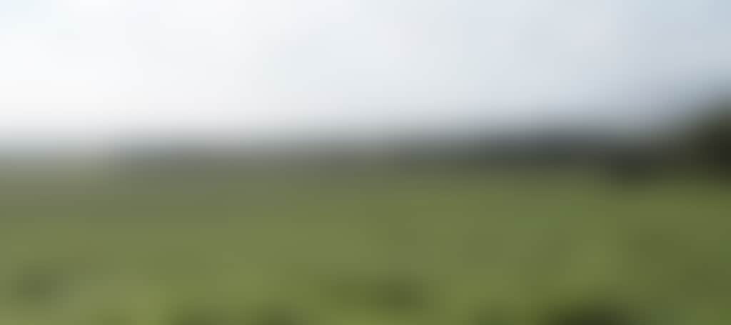 Original__9169163_Az00_Dsc_1534_Yock6T9