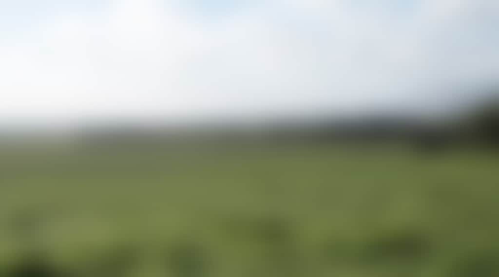 Original__9169163_Az00_Dsc_1534_Yock6T9