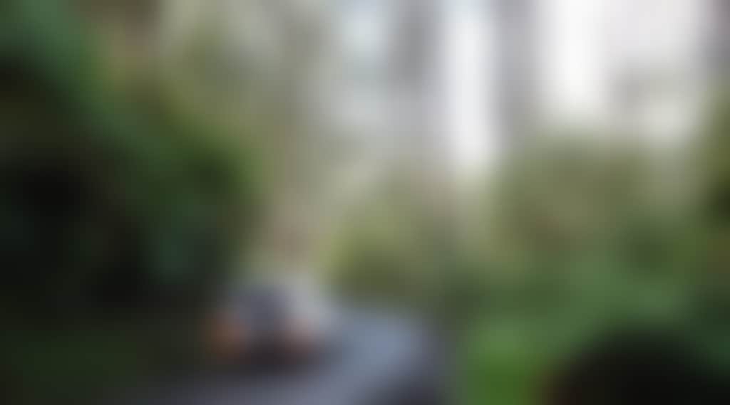Car on Tarra Valley Road heading uphill