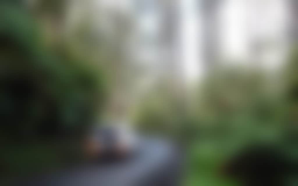 Car on Tarra Valley Road heading uphill