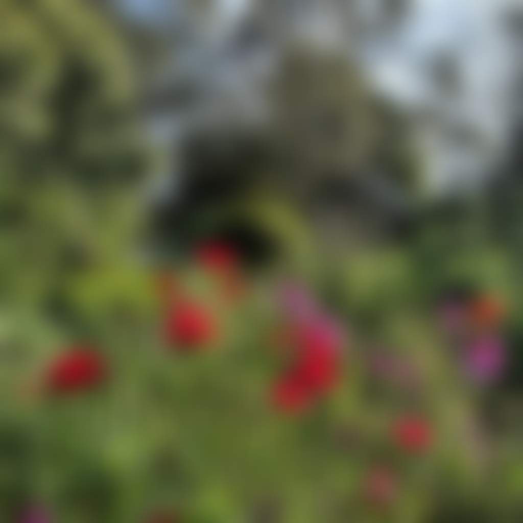 A59Bc9B43817385585220A98186D663A