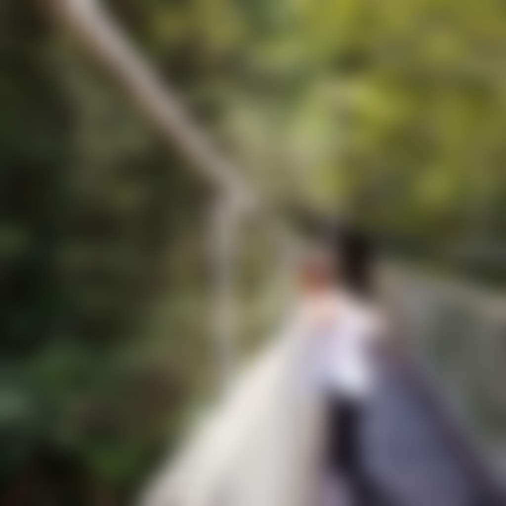 Person on Swing Bridge at Tarra Bulga National Park