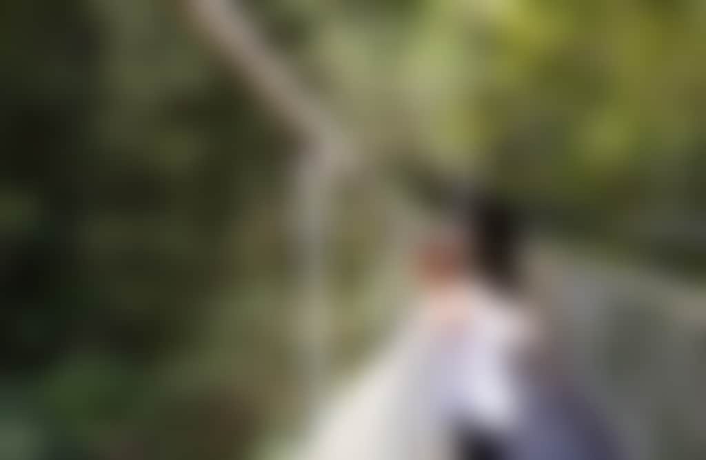 Person on Swing Bridge at Tarra Bulga National Park