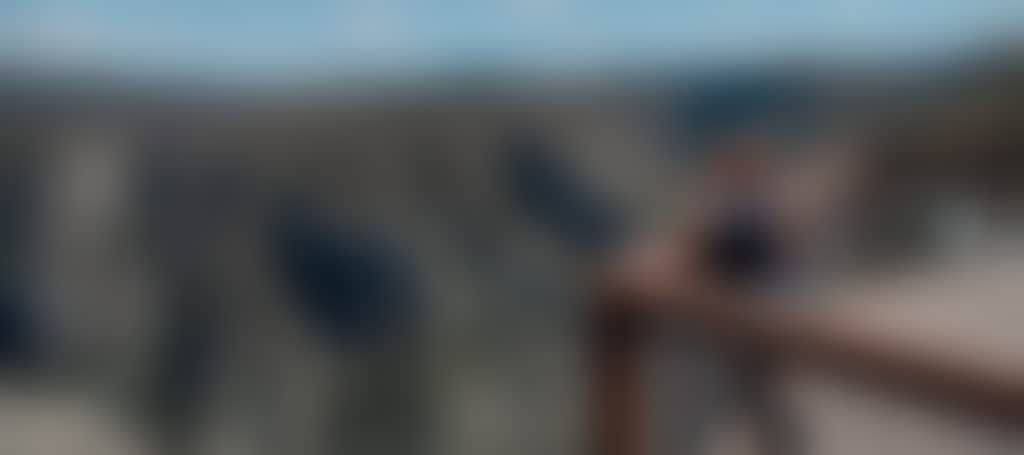 Woman standing on boardwalk overlooking Little River Gorge