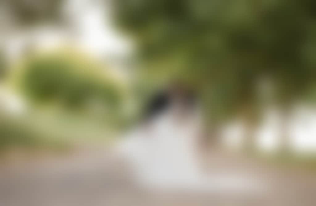 Lardner Park wedding