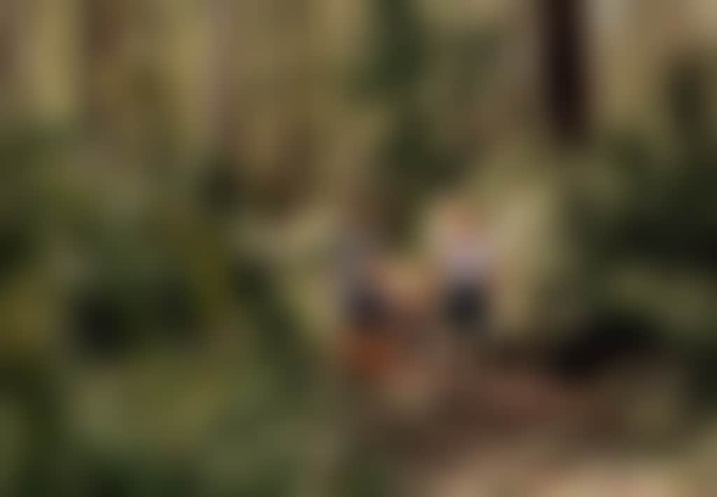 Morwell River Falls family on walk surrounded by bush crop