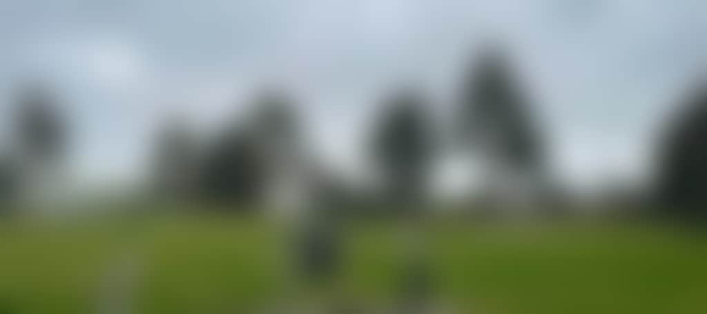 Ce57Bb1Ae7C8E715Ca968887A6C35411