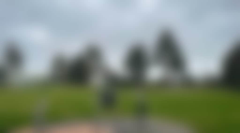 Ce57Bb1Ae7C8E715Ca968887A6C35411