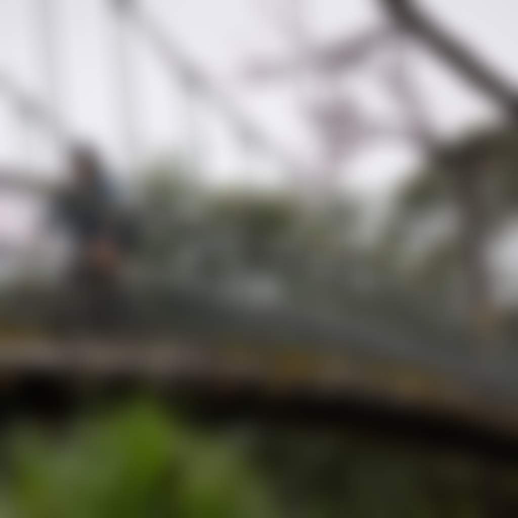 Side view of woman on bike on the narrow bridge Bairnsdale