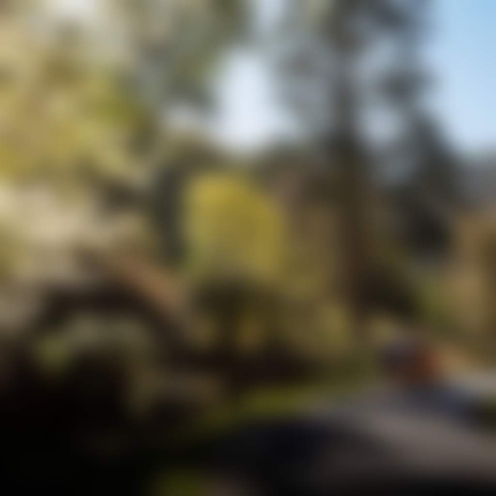 Walhalla Mountain Rivers 4wd driving through blossom and ferns past fence