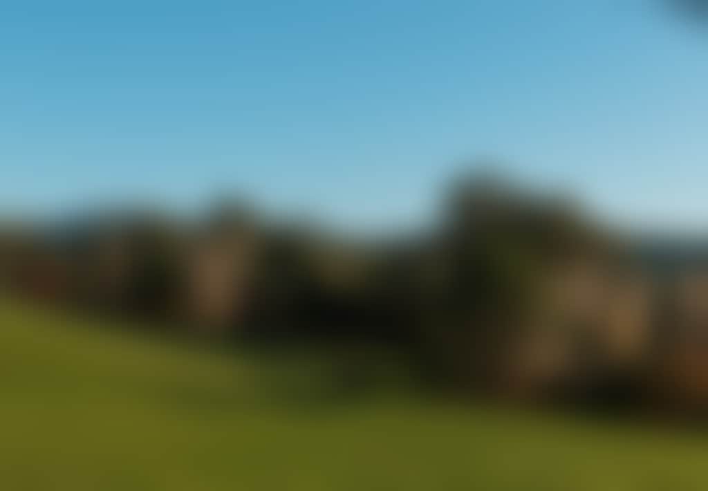 Jindivick Hills view of green hills with trees
