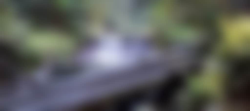 Original__9149743_Bo62_Img_0109_2545_C88Ssjg